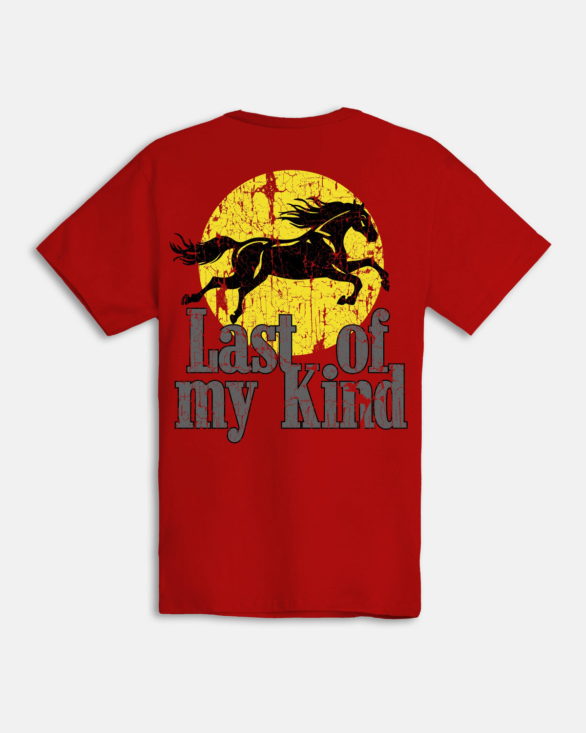 Last Of My Kind T-shirt