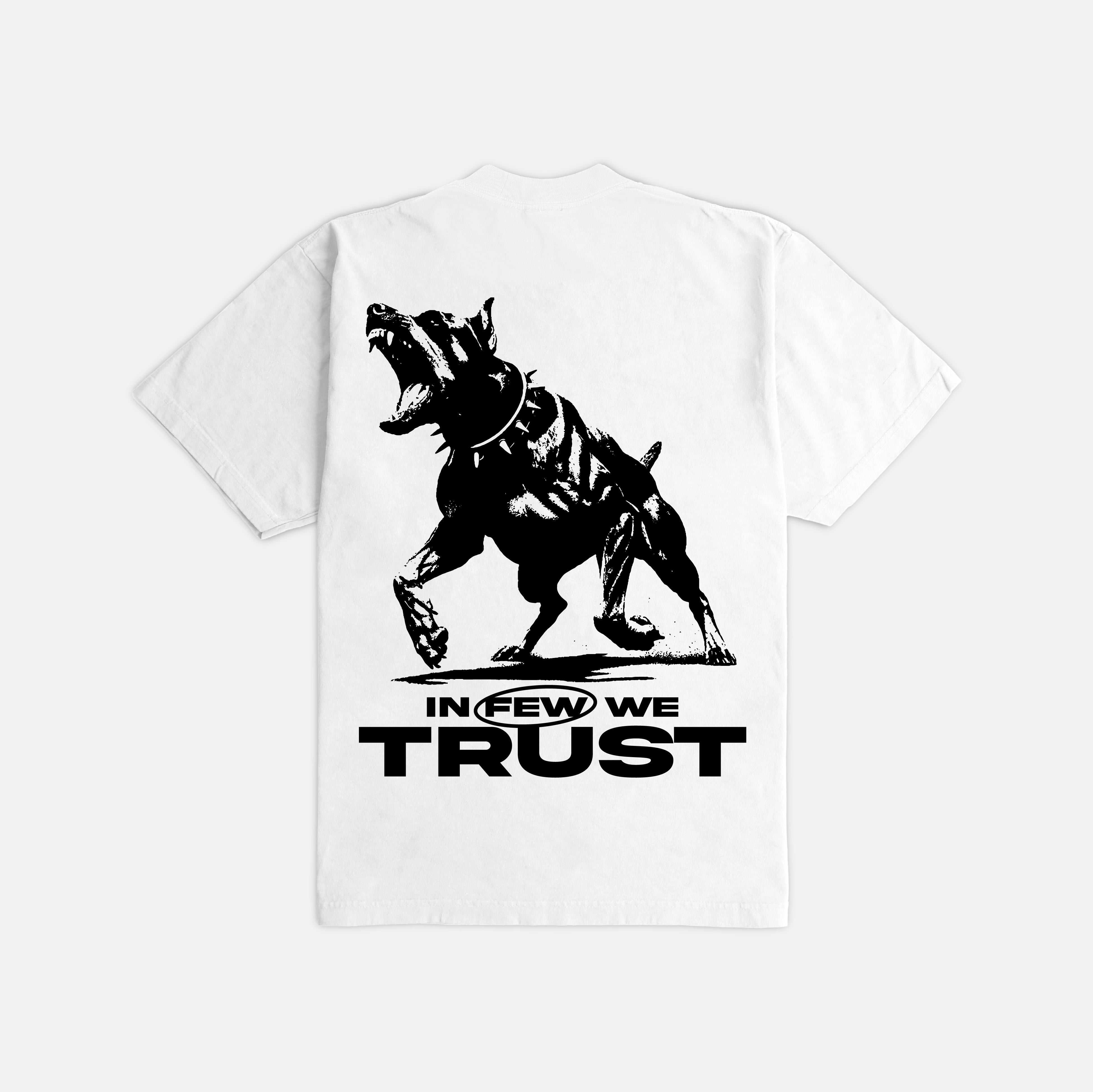 In Few We Trust Ultra Heavyweight T-shirt