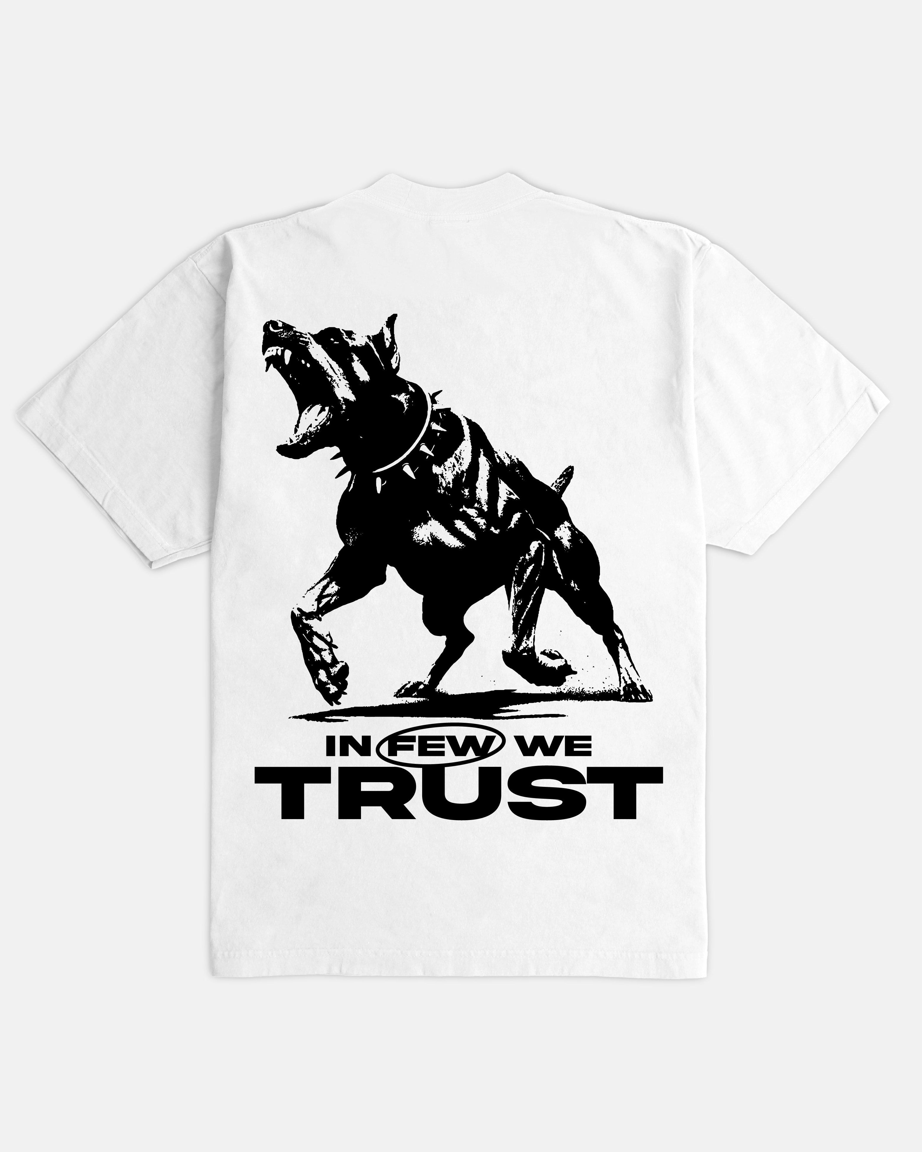 In Few We Trust Ultra Heavyweight T-shirt