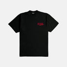 Nothing Can Stop Ultra Heavyweight T-shirt