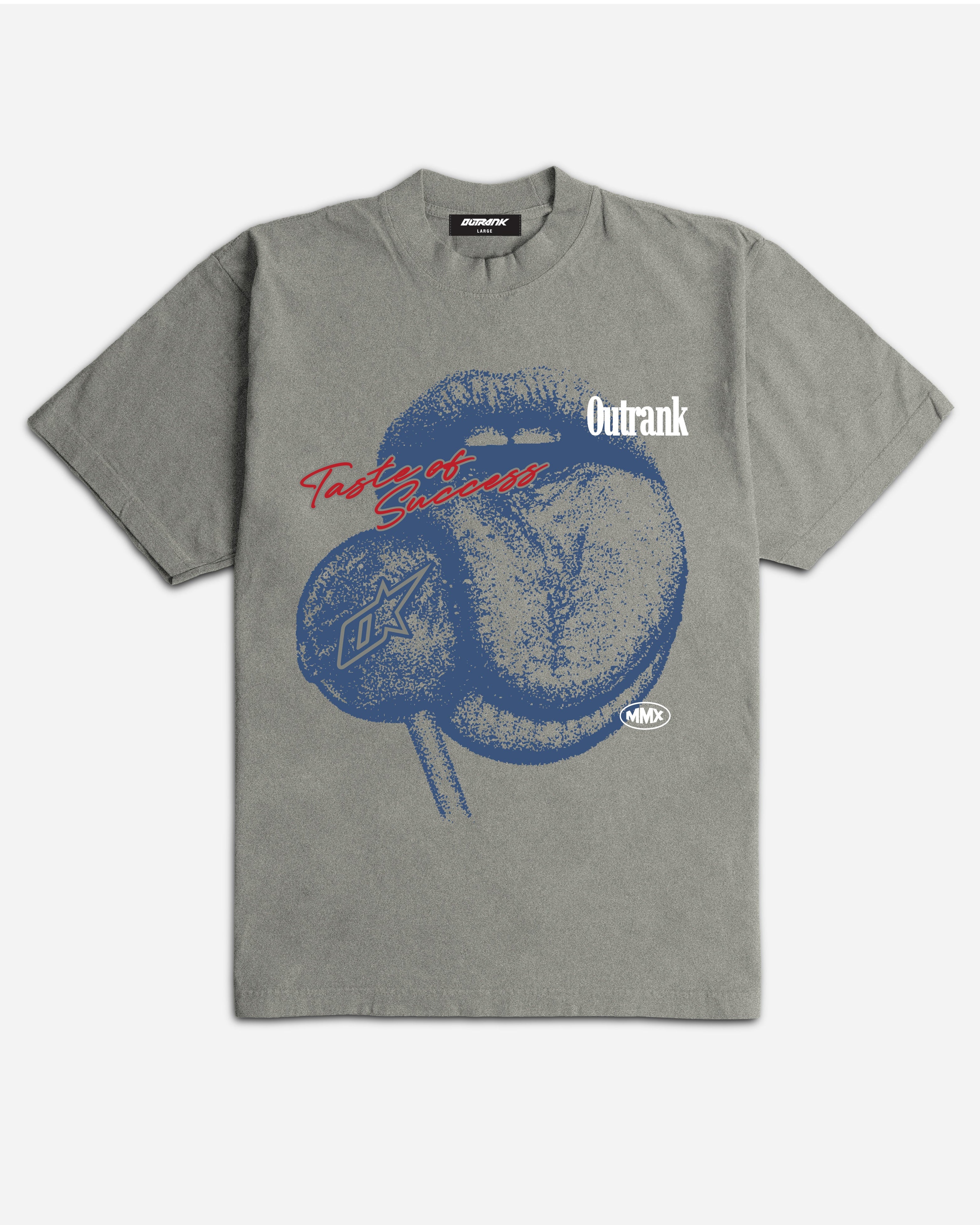 Taste Of Success Ultra Heavyweight T-shirt