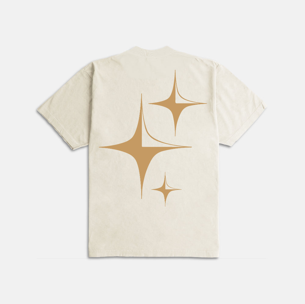 Standing My Ground Ultra Heavyweight T-shirt