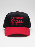 Different Breed Embroidered Snapback