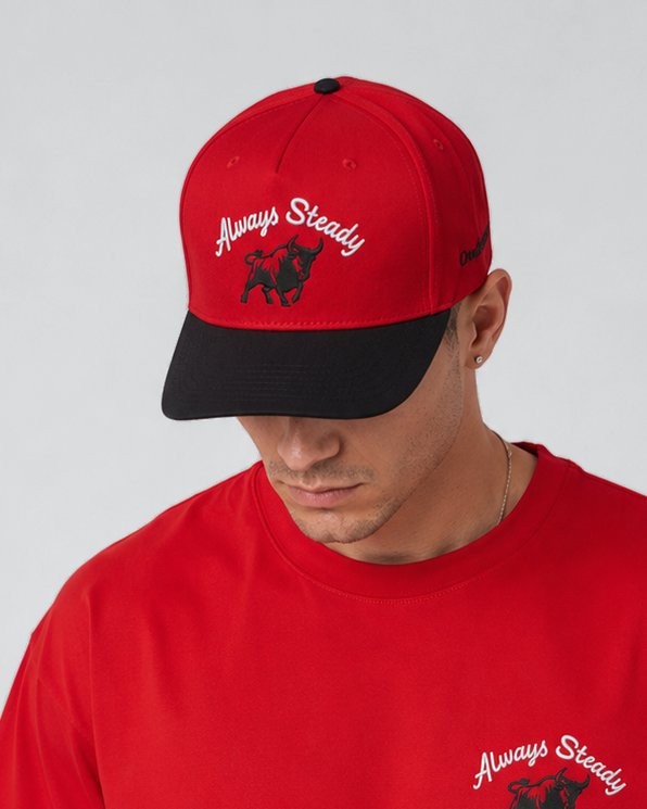 Always Steady Embroidered Snapback