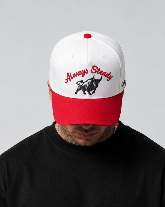 Always Steady Embroidered Snapback