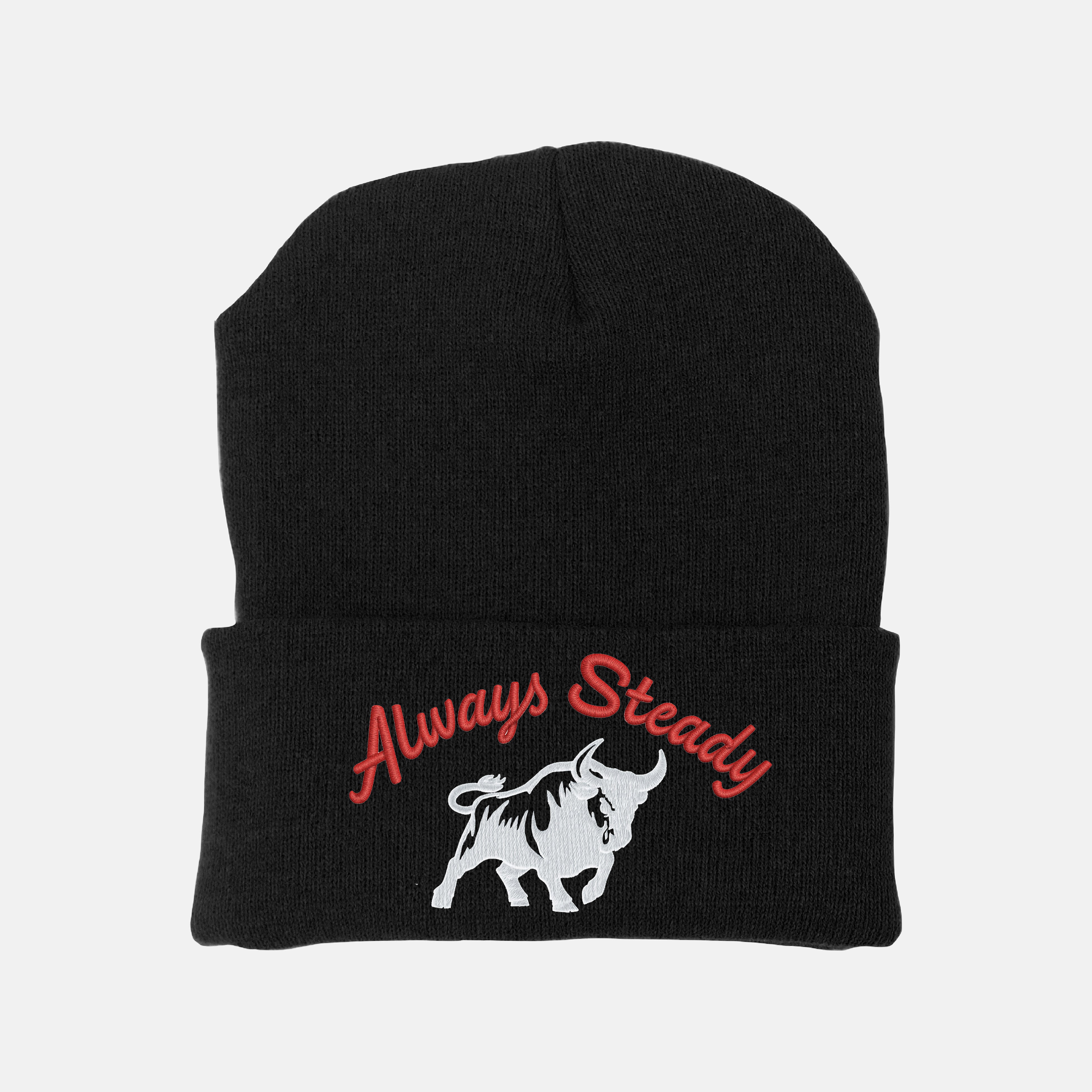 Always Steady Embroidered Beanie