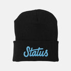 Status Embroidered Beanie