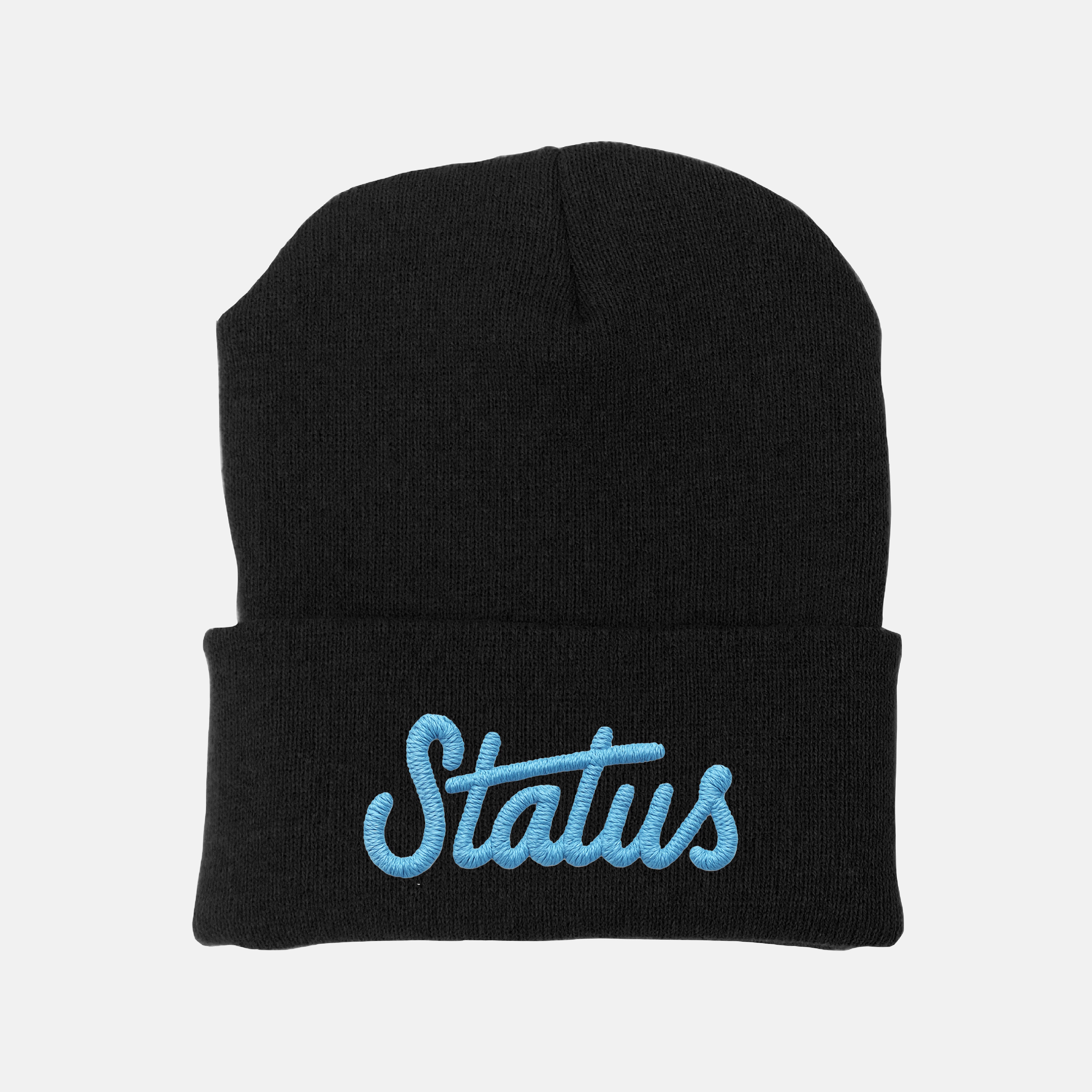 Status Embroidered Beanie