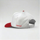 Lord Thank You Embroidered Snapback
