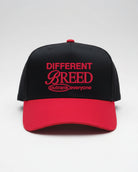 Different Breed Embroidered Snapback