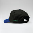 Taking Over Embroidered Snapback