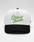 One Of Them Embroidered Snapback