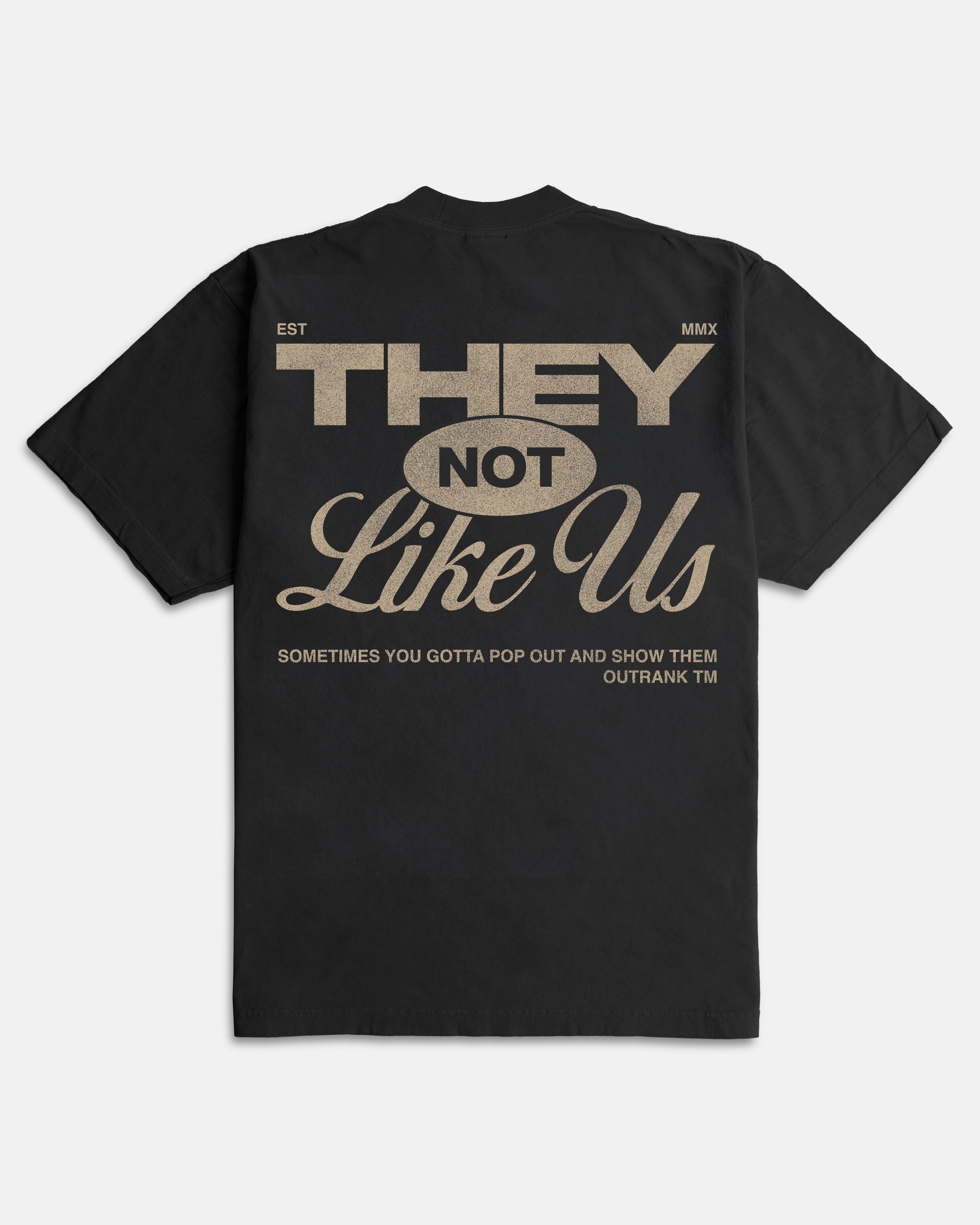 They Not Like Us Ultra Heavyweight T-shirt Black
