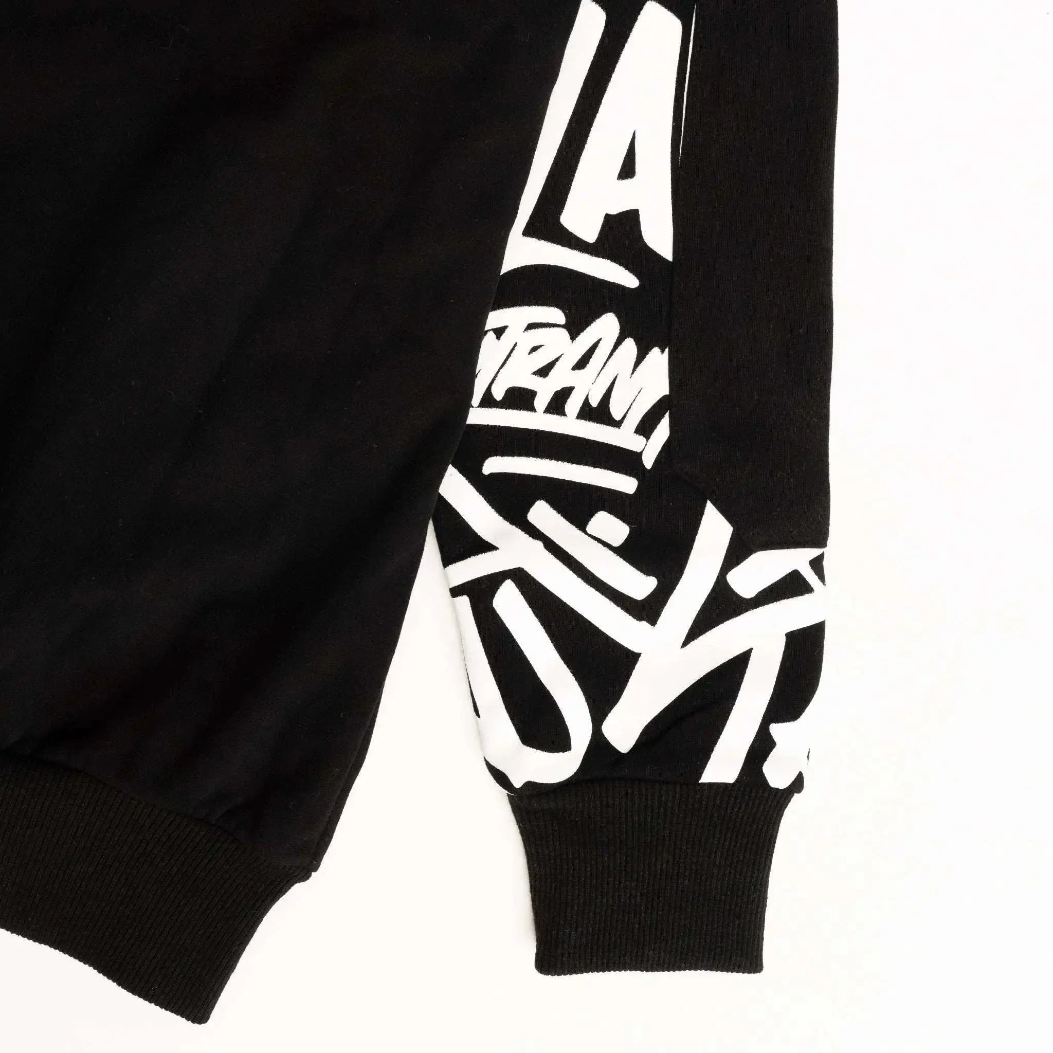 Scripted Color Blocked Fleece Hoodie