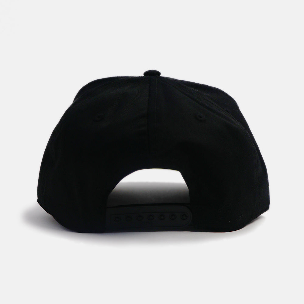 Band For Band Snapback Hat